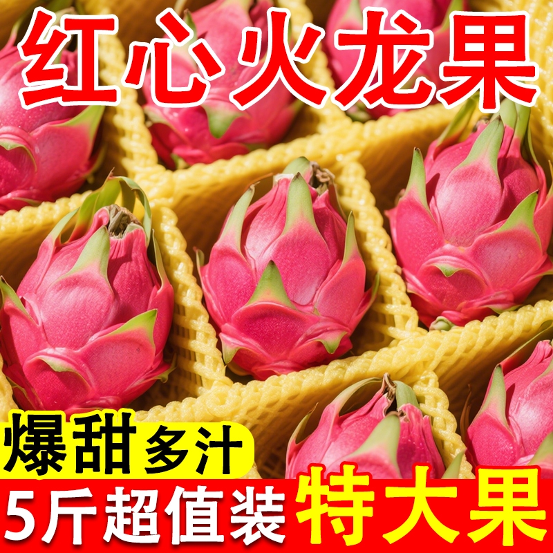 现摘新鲜金都一号火龙果爆甜