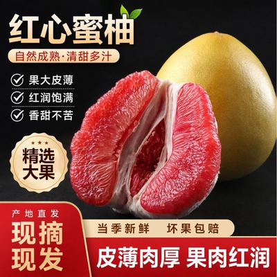 【回购不停】正宗广西红心柚带箱5-6斤