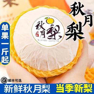 山东莱阳正宗秋月梨果王新鲜水果真10斤应季整箱顺丰礼盒当季精选