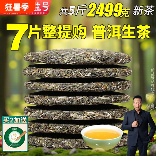 新益号云南古树普洱茶生茶饼茶叶
