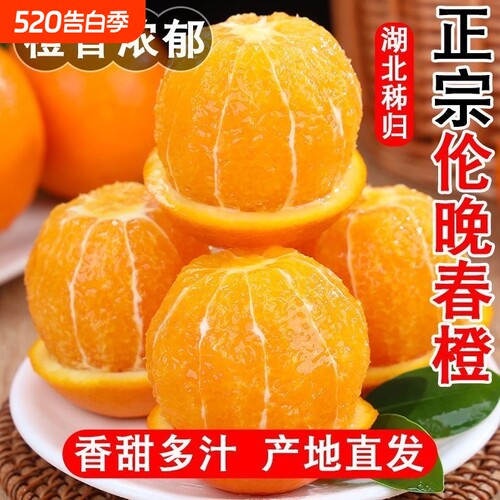 正宗湖北秭归伦晚脐橙旗官方旗舰店新鲜水果甜现摘橙子手剥春橙