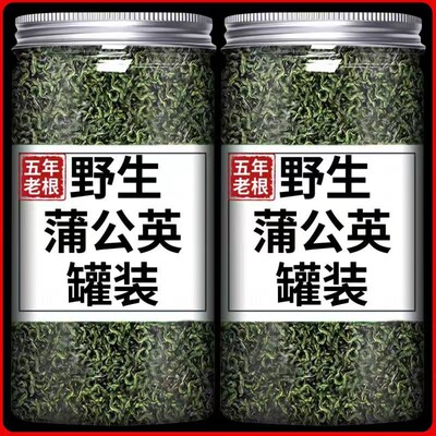 蒲公英茶养肝护肝长白山蒲公英泡水喝正品清热去火熬夜恢复养生茶