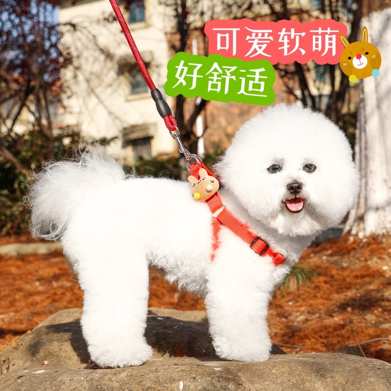 2米3米加长狗狗牵引绳狗绳子遛狗泰迪金毛宠物大型中型小型犬狗链