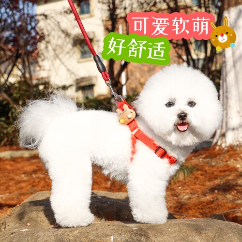 2米3米加长狗狗牵引绳狗绳子遛狗