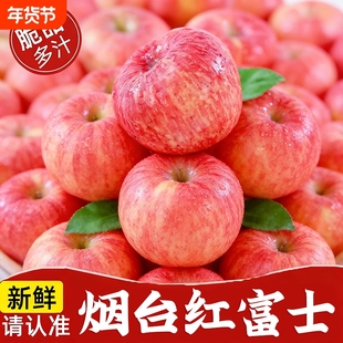 正宗烟台栖霞红富士新鲜脆甜苹果水果山东特产富士苹果整箱包邮