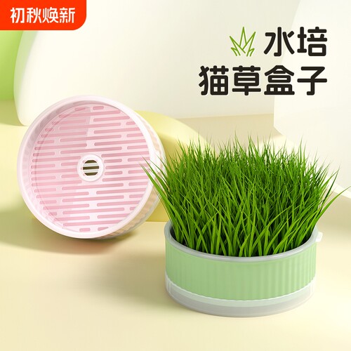 懒人猫草盆栽猫零食种植排毛球化毛专用小麦草猫咪拌粮零食水培