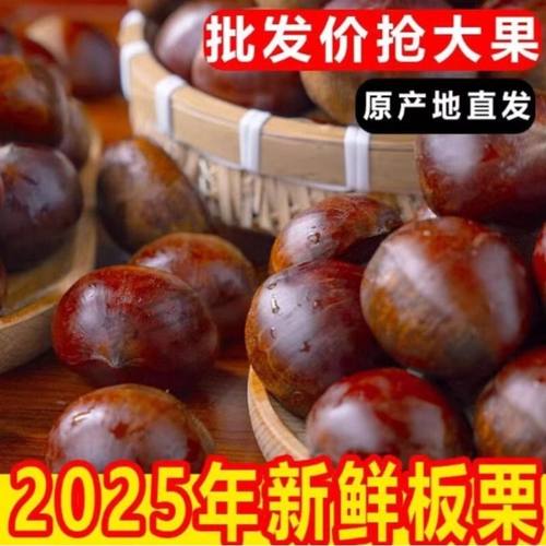 丹东板栗现摘新鲜生板栗应季蔬菜栗子