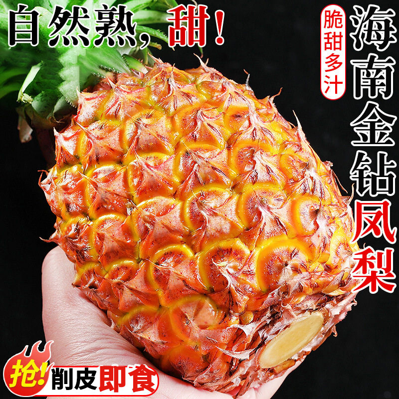 海南金钻凤梨新鲜水果芒果凤梨10斤应季特大树上非菠萝特产大果
