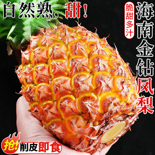 海南金钻凤梨新鲜水果芒果凤梨10斤应季特大树上非菠萝特产大果