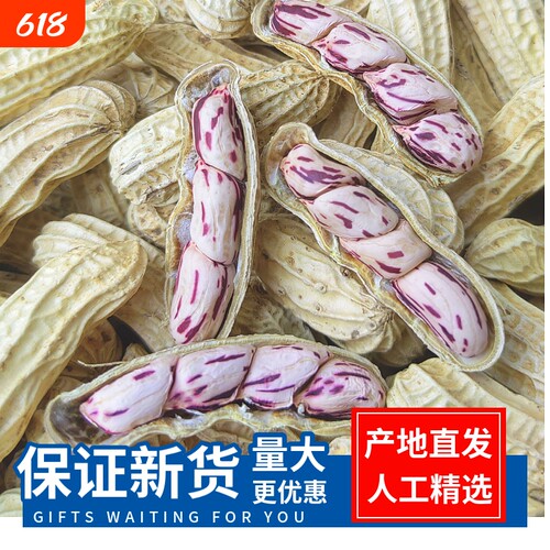 2026新货七彩花生云南特产水煮咸干五彩花生米晒干带壳健康