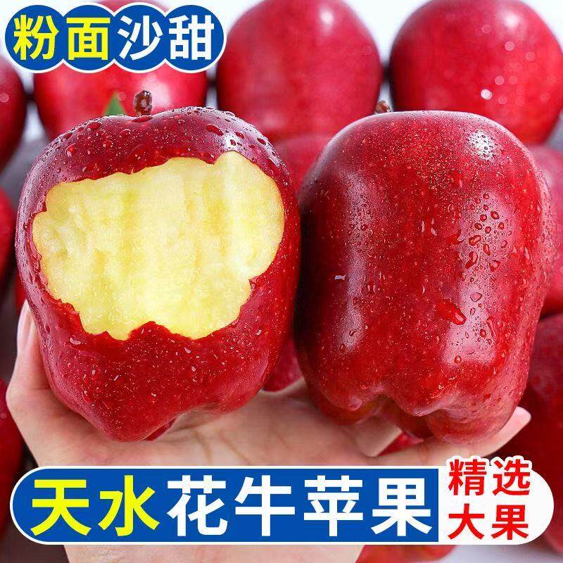 天水花牛苹果可脆宝宝辅食新鲜孕妇吃苹果当季直发农场正宗沙甜