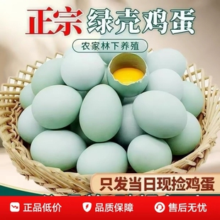 农家散养土鸡蛋生态放养绿壳乌鸡蛋高营养草鸡蛋虫草谷物鸡蛋40g