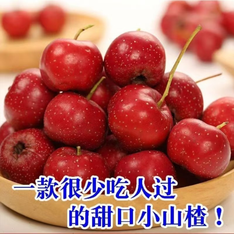 山楂鲜果新鲜山楂大山楂鲜果冰糖葫芦商用山楂新鲜水果鲜果