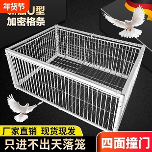 补笼全自动天落笼子撞门捕捉抓收鸽子鸟神器捕笼器加密款网防锈