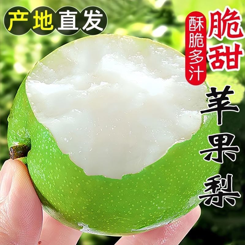 苹果梨青皮梨蜜梨脆甜无渣汁水新鲜水果梨脆甜梨脆甜多汁