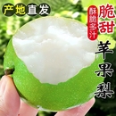 蘋果梨青皮梨蜜梨脆甜無渣汁水新鮮水果梨脆甜梨脆甜多汁