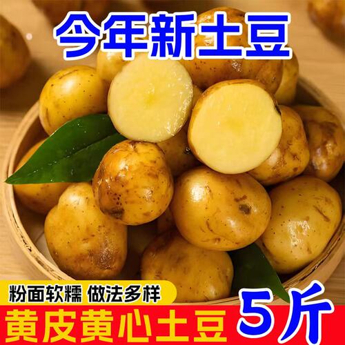 恩施小土豆农家正宗新鲜