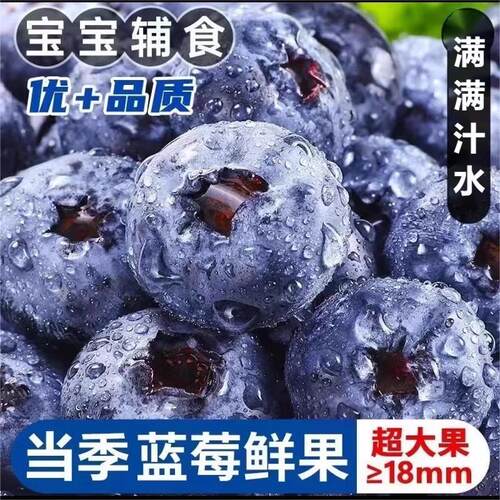 新鲜蓝莓现摘整箱当季精品水果L25花香蓝梅脆甜盒装鲜果一颗浆果