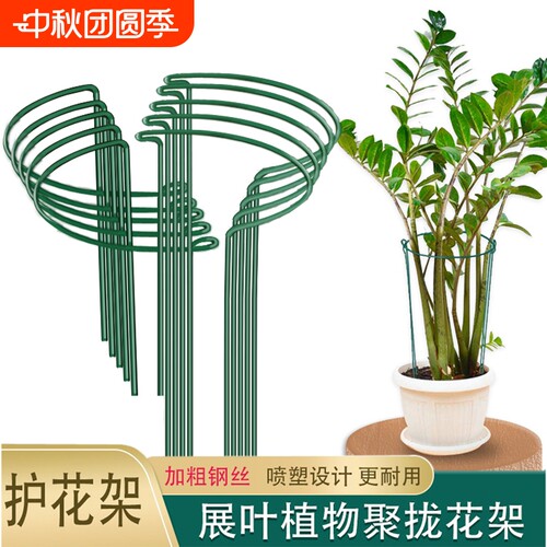 铁质防倒伏花架|超3000次加购