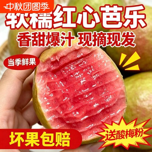 广西软糯红心芭乐5斤新鲜水果