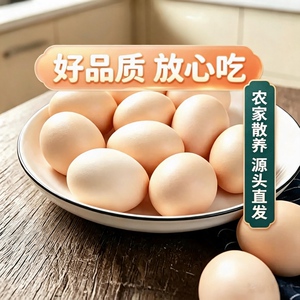 正宗农家散养土鸡蛋【40-45g*30枚】
