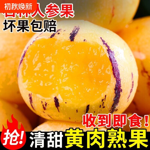 云南石林人参果新鲜水果当季整箱树上熟黄果圆果正品人生果大果