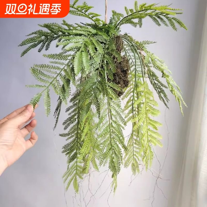 仿真植物蕨类垂吊植物草球绿野仙踪吊挂装饰绿植家居商铺橱窗餐厅