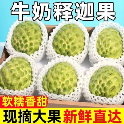 正宗攀枝花牛奶凤梨释迦果鲜甜软糯奶香番荔枝新鲜摩尼果产地直发