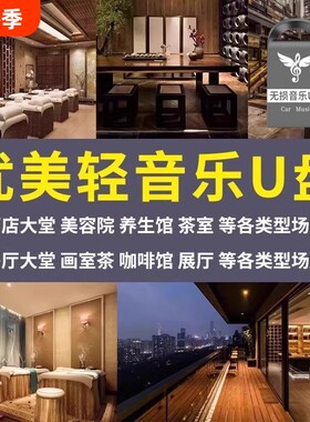 门店轻音乐钢琴曲茶室纯音乐钢琴曲音乐U盘纯琵琶曲独奏钢琴曲