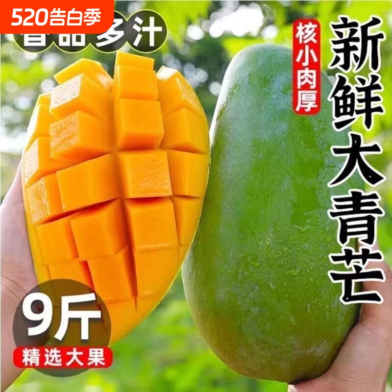 新鲜大青芒果采摘热带水果皮薄肉多核小甜蜜多汁