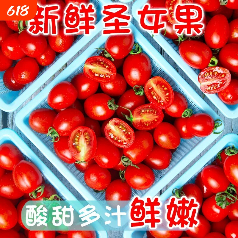 新鲜现摘圣女果露天小番茄小西红柿水果水果蔬菜整箱批发