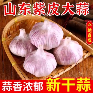 山东金乡大蒜头新鲜干蒜2斤批发农家自种紫皮蒜种5斤产地价包邮