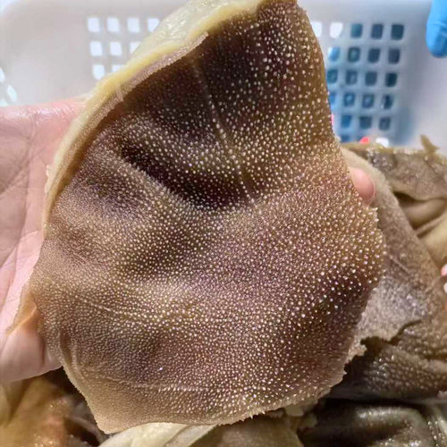 火锅食材新鲜手撕毛肚