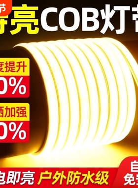 鼎雁led灯带灯条220v户高压超亮外防水客厅吊顶自粘软COB室内圆弧