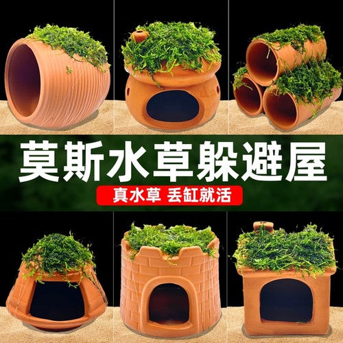 水屿鱼莫斯水草屋|超9000次加购