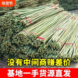 竹竿子搭架菜园豆角架黄瓜架西红柿蔬菜植物支架杆爬藤架旗杆栅栏