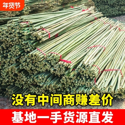 竹竿子搭架菜园豆角架黄瓜架西红柿蔬菜植物支架杆爬藤架旗杆栅栏