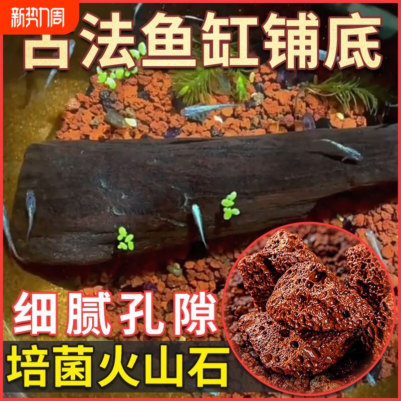 火山石颗粒火山岩原石兰花颗粒乌龟专用优质造景铺面净化水质垫底