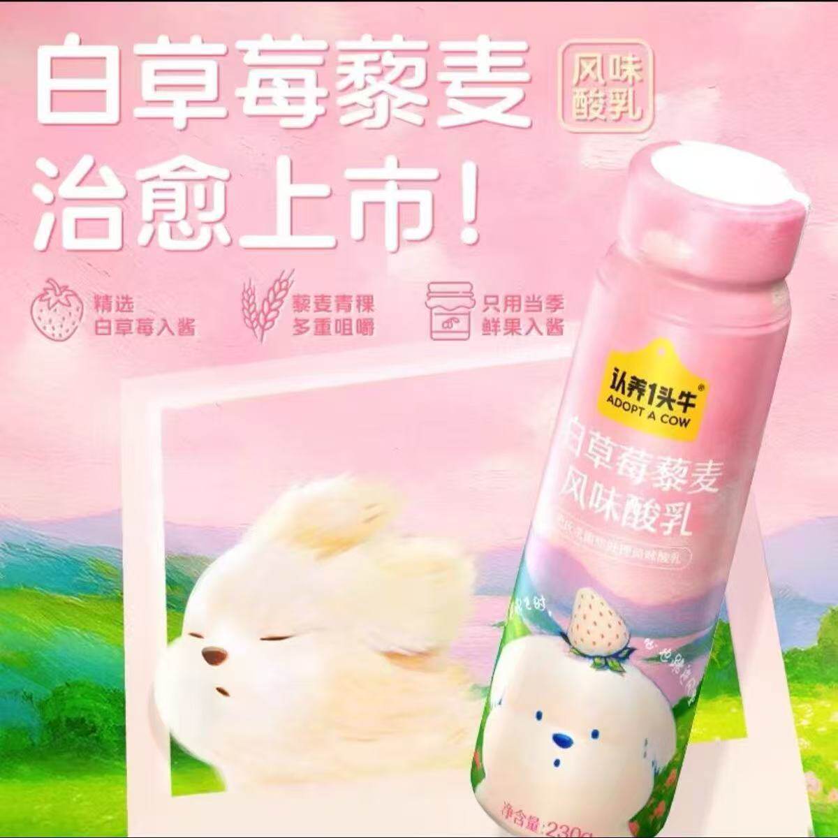 认养一头牛白草莓酸奶230g*10瓶