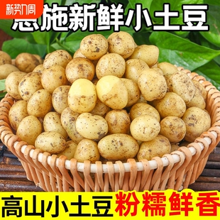 新鲜恩施高山小土豆农家湖北黄心土豆农家当季 时令蔬菜马铃薯洋芋
