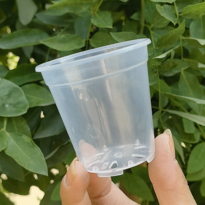 蝴蝶兰花高透明塑料圆花盆盆栽石斛蝴蝶兰扦插种植实验盆桌面手工