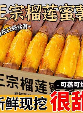 正宗真榴莲蜜薯5斤黄心红薯新鲜玛莎莉流蜜黄金番薯现挖山芋地瓜