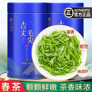 古丈毛尖2025新茶湘西明前嫩芽绿茶高山云雾春茶礼盒送礼炒青一两