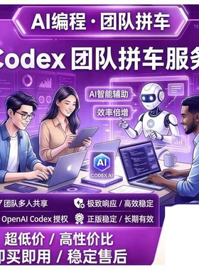 codex team拼车 business套餐 稳定保障哦