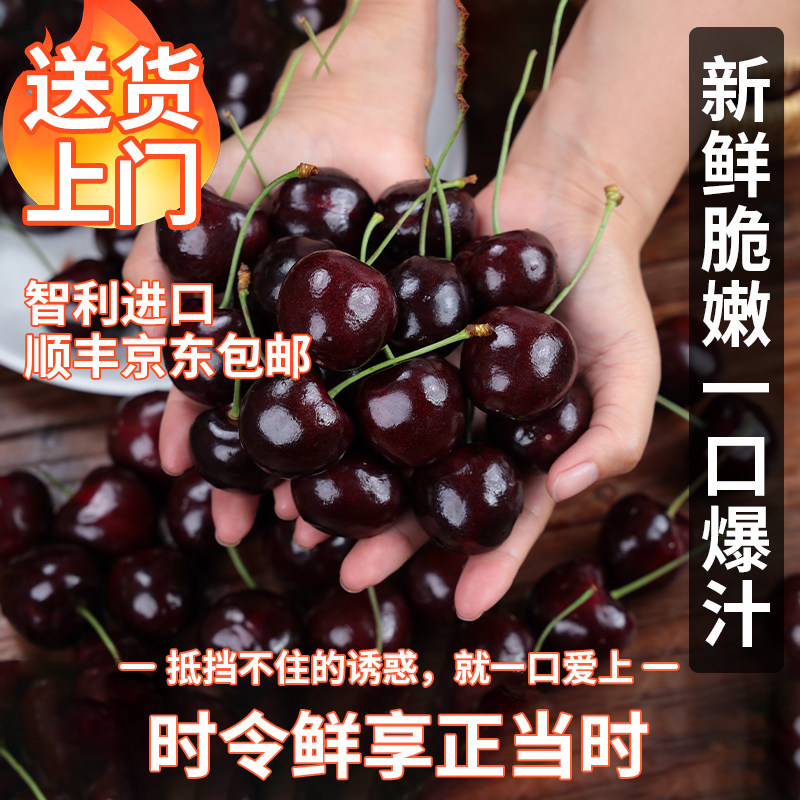 【5斤装礼盒】智利进口车厘子原箱新鲜当季水果多汁进口樱桃