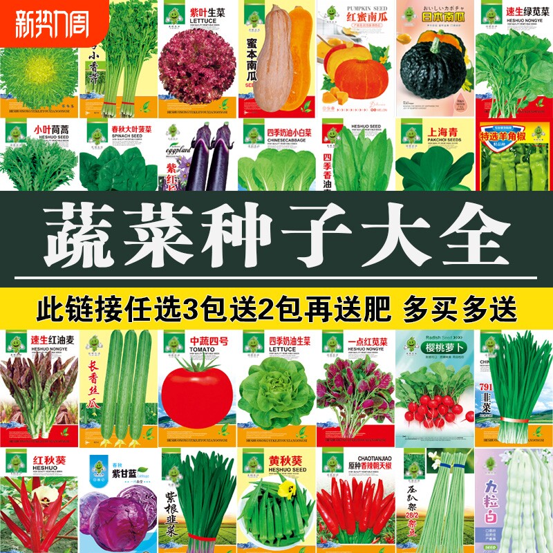 四季蔬菜种子黄秋葵红秋葵香菜青菜阳台盆栽种植生菜丝瓜甘蓝水果