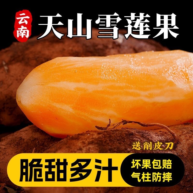 【优质】高山雪莲果新鲜水果黄心大果当季云南天山应季红黄心脆甜