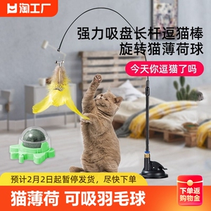 逗猫棒长杆猫薄荷旋转球零食玩具磨牙棒自嗨解闷猫咪用品仿真替换