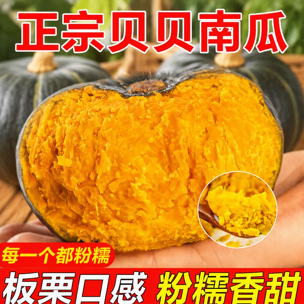 正宗贝贝南瓜板栗味南瓜粉糯香甜小南瓜新鲜蔬菜宝宝辅食减脂主食