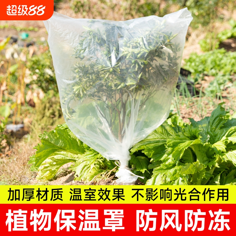 加厚塑料保温防寒罩植物过冬